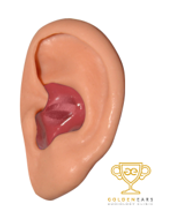 CUSTOM EAR PROTECTION 7