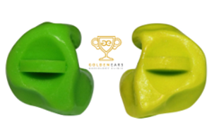 CUSTOM EAR PROTECTION 1